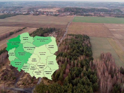 Ziemia z Zasobu WRSP do wzięcia. KOWR ma 150 tys. ha do rozdysponowania