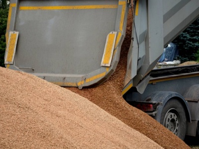 27.10.2025 Ceny skupu zbóż, kukurydzy, oleistych i strączkowych: bez niespodzianek