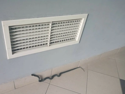 Wąż na klatce przy ul. Dorantta! Eko Patrol znów w akcji