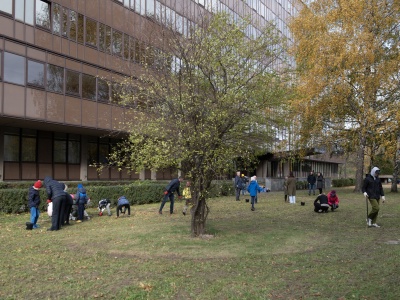 Studenci Politechniki Krakowskiej posadzili 6 tysięcy cebulek kwiatów (ZDJĘCIA)