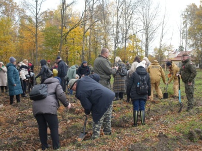Pod Łodzią zasadzono „Las Pamięci”. Upamiętniono żołnierzy poległych poza krajem