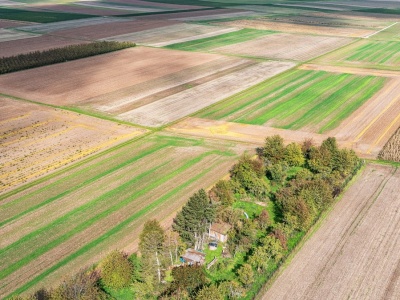 Sprzedaż działki pod CPK. Oświadczenie KOWR