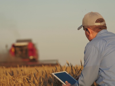 Kalendarium - wtorek 28 października