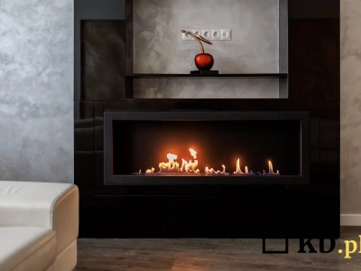 Drewno odchodzi do lamusa? To paliwo do kominka właśnie podbija polskie domy!