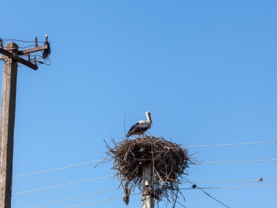 Awantura o szybki internet we wsi. Mieszkańcy protestują przeciwko kablom