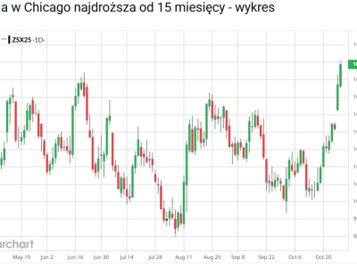Zboża i oleiste drożeją na giełdach po zapowiedzi podpisania umowy handlowej USA-Chiny