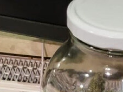 3 kg marihuany znalezione w domu pod Lublinem