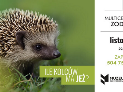 Ile kolców ma jeż? Multicentrum ZODIAK zaprasza na zajęcia z jeżem w roli głównej