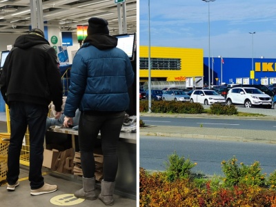 Ikea kupuje lasy nad Bałtykiem. Tak Polacy mogą na tym skorzystać