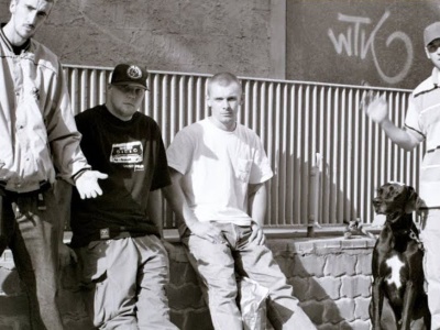 Będzie powrót Molesty. JWP też szykuje projekt