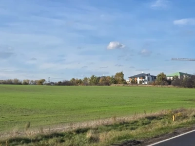 W Jaworznie chcą przekształcić około 38 hektarów pól na tereny mieszkaniowe. Gdzie będą mogły powstać nowe domy i ile mogłoby zarobić na tym miasto?