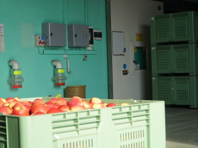 Sadownik wypełnił wniosek jak człowiek – czeka go 7000 zł dopłaty