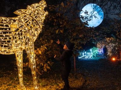 Ogród Botaniczny UW rozbłyśnie milionem świateł. Wystawa iluminacji znowu zachwyci