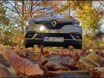 „Aliści ja w sprawie liści”, czyli jesień zaskoczyła kierowców (Felieton)