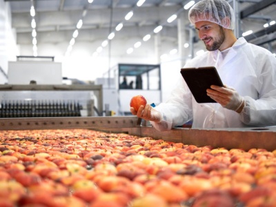Przetwórnie idą pod młotek. Syndyk sprzedaje zakłady w Rykach i Milejowie