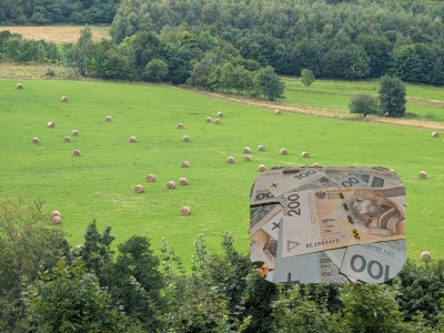 Nowe dopłaty 2026: nawet 2 387 zł/ha za ochronę torfowisk. Jakie warunki?