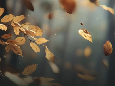 Silny wiatr w powiecie oświęcimskim. Alert PCZK