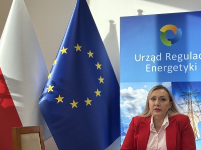 Prezes URE powołuje Ponadsektorowy Akcelerator Rozwoju Polskiej Energetyki