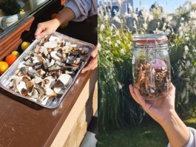 Daria zdradza, jak suszyć grzyby zebrane w lesie. Ma sprawdzony patent