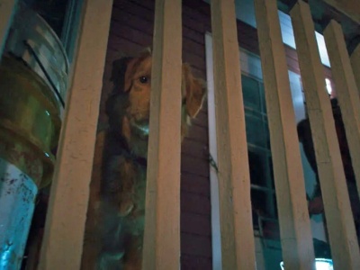 Takiego horroru jeszcze nie było. Prawdziwe ciarki na plecach