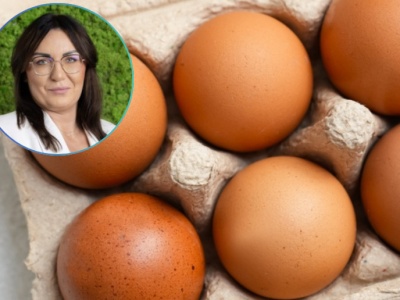 Ceny jaj wysokie, ale stabilne? Branża: To już nieaktualne