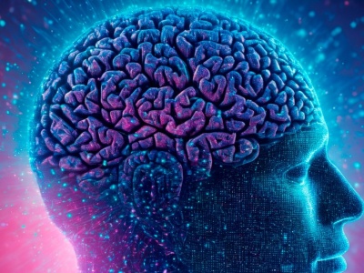 Naukowcy odkryli przełącznik w mózgu. Włącza i wyłącza wspomnienia