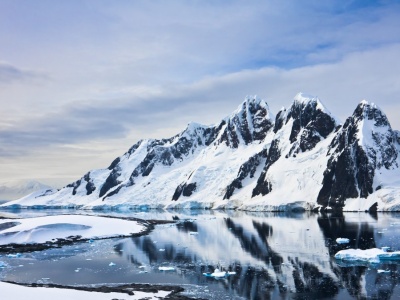 Szukali statku na Antarktydzie. Pod lodem odkryli tysiące jaj