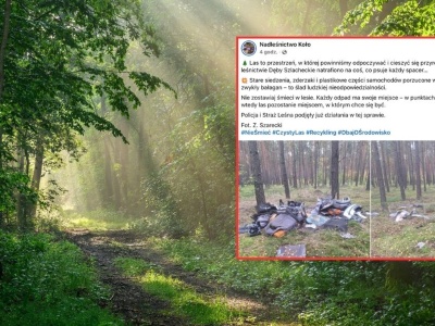 Leśnik nie wytrzymał i chwycił za telefon. 