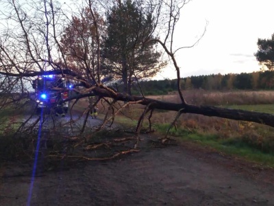 Silne wiatry w Łódzkiem. Ponad 100 zgłoszeń, dwa zerwane dachy