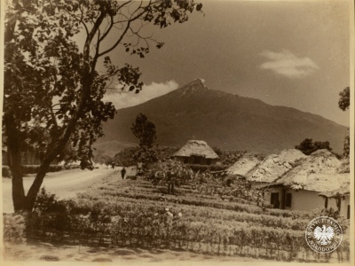 Sybiracy w Afryce: Polscy uchodźcy w Tengeru