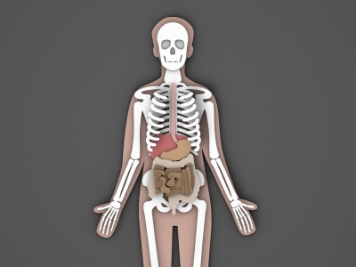 Hepatitis – wirusowe zapalenie wątroby (A, B, C, D, E)