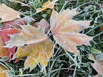 Nadchodzi chłodny piątek! IMGW ostrzega przed przymrozkami w woj. lubelskim