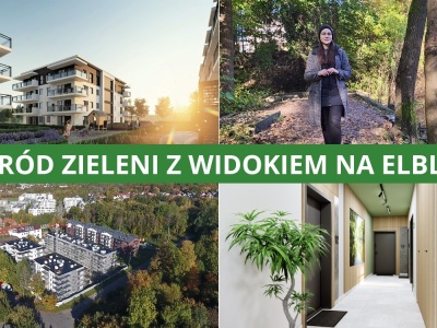 Na wzgórzu przy Dąbrowskiego powstaje coś wyjątkowego…