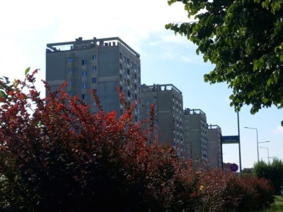 Ceny najmu w Częstochowie – zobacz, co pokazuje najnowszy raport!