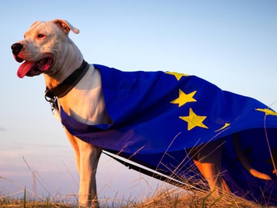 Grzeczny jak inflacja w strefie euro. Miało być 2% i jest niewiele więcej