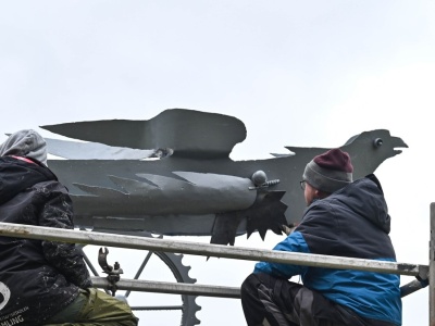 Szczecińskie ptaki wracają do życia. Jak feniks z popiołów