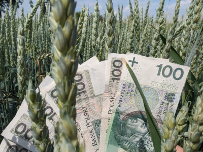 Będzie więcej pieniędzy na tanie kredyty dla rolników, banki wznowią rozpatrywanie wniosków