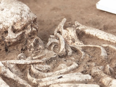 Podręczniki do wyrzucenia? Ewolucja człowieka mogła wyglądać inaczej