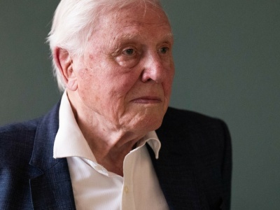 Sir David Attenborough apeluje o wpłaty. Mówi, że kończy się czas