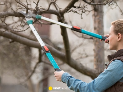 Nie przegap tego terminu. Zostały ostatnie dni, by zadbać o ogród