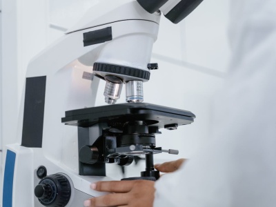 Bez skalpela i bez dylematów etycznych. Galareta Whartona przełomem w medycynie regeneracyjnej