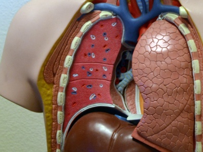 Zagubieni w systemie. Pacjenci z ILD walczą z rzadką chorobą