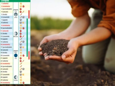 Kalendarz biodynamiczny na listopad 2025: co siać, zbierać i co zabezpieczyć przed zimą?