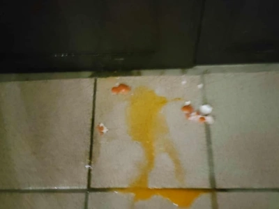 Nie dostali cukierków, obrzucili drzwi jajkami