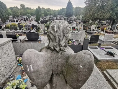 Gdy babcia umarła, przyszła do mnie żaba. Jak rozmawiać z dziećmi o śmierci