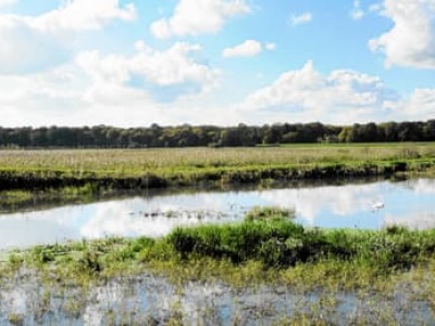 Powstanie pierwszy rezerwat w granicach Wrocławia