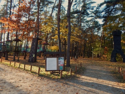 Godzinę od Warszawy odkryjesz inne Mazowsze. Złota jesień maluje tam zachwycające pejzaże