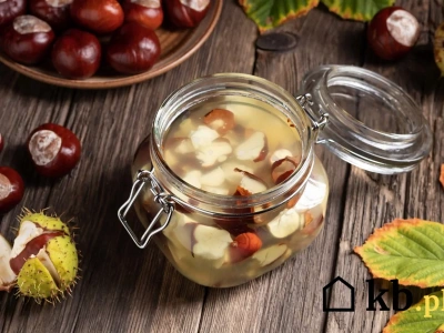 Z kasztanów zrobisz domowy lek i kosmetyk! Sprawdź ten prosty przepis