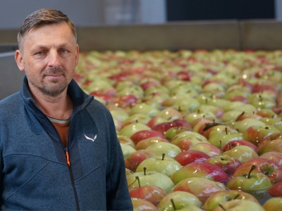 Jak sprzedają się ekologiczne jabłka?