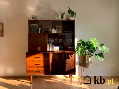 Kiedyś wstyd, dziś zachwyt – tego rodzaju meble biją rekordy popularności